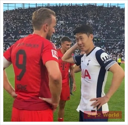 <b>손흥민</b>, 유럽 5대 리그 키패스 1위 기록! 해리 <b>케인</b>이 <b>뮌헨</b>으로... 