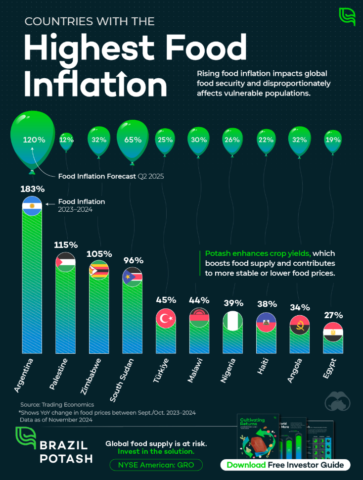 2024년 식량 인플레이션이 가장 높았던 국가 순위