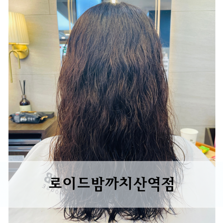  로이드밤 까치산역점 단유쌤 루이시스 딥클리닉 상한머리 영양주기