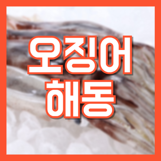  오징어 해동 4가지 방법! 주의사항! 신선하게 먹는법!