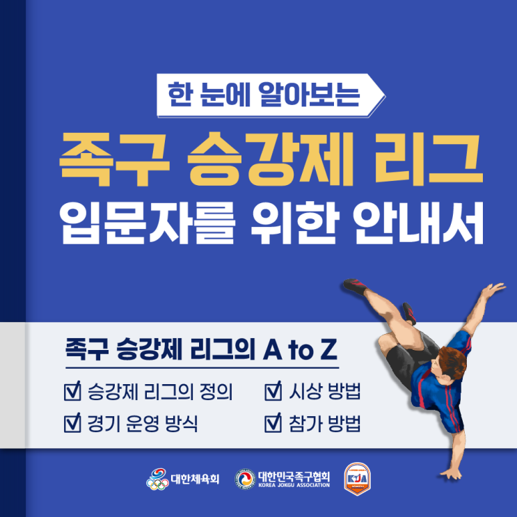  2024 족구 승강제 리그, 족구 J리그 소개