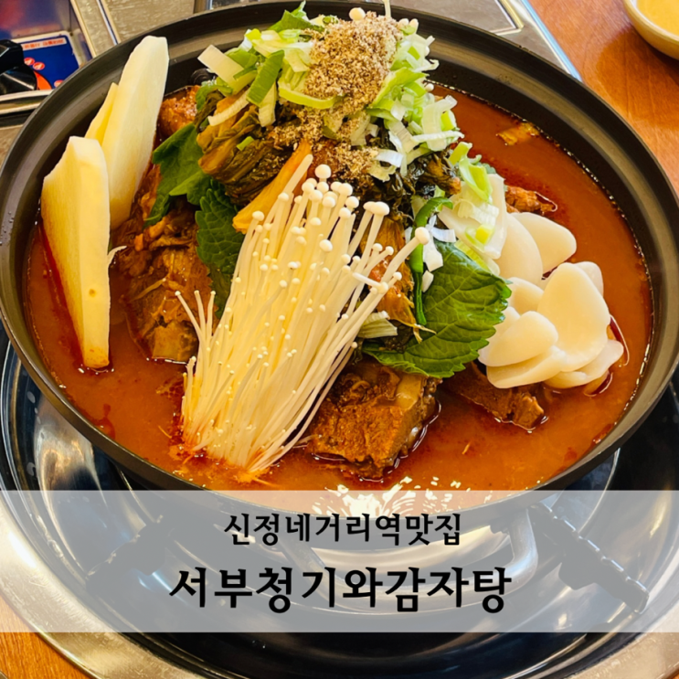  신정네거리역 맛집 서부청기와감자탕 뜨끈한 엄마손맛