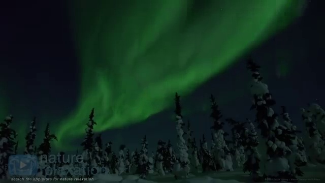  허니문 투어 웨딩 스튜디오 찾아보기 최고의 스튜디오는? , 결혼박람회에서 결혼준비 알뜰하게