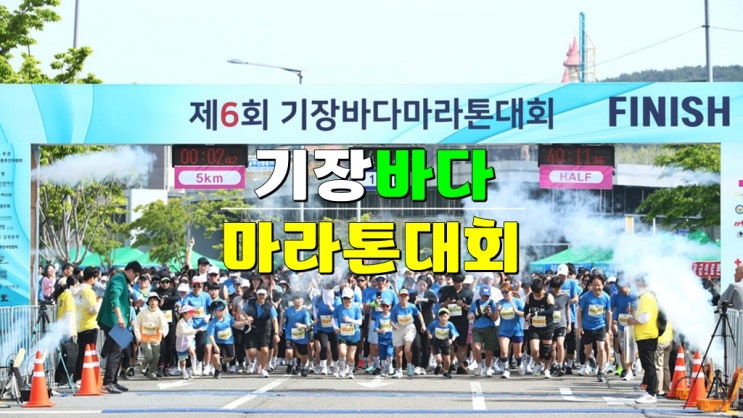  2025 제7회 부산 기장바다마라톤대회 · 기본정보 참가신청 (참가비 코스 기념품 총정리)