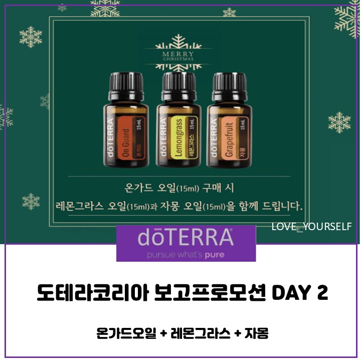  도테라코리아 보고프로모션 DAY 2 온가드 구매하시면 레몬그라스와 자몽을 선물로 드립니다