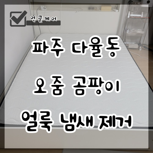  매트리스 세탁 오줌 흔적 곰팡이 자국 제거 파주 다율동
