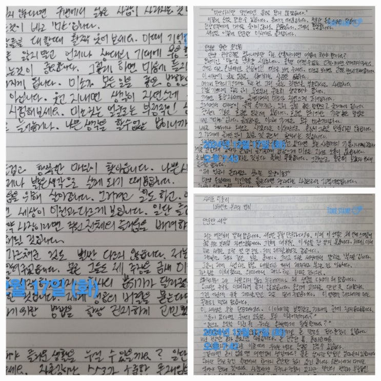  사이토 히토리 1퍼센트부자의 법칙