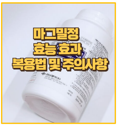  변비 속쓰림 고민 끝 마그밀정의 효과와 주의사항 안내
