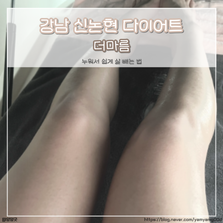 강남신논현 다이어트가 쉬워지는 더마름 케어받고온 후기