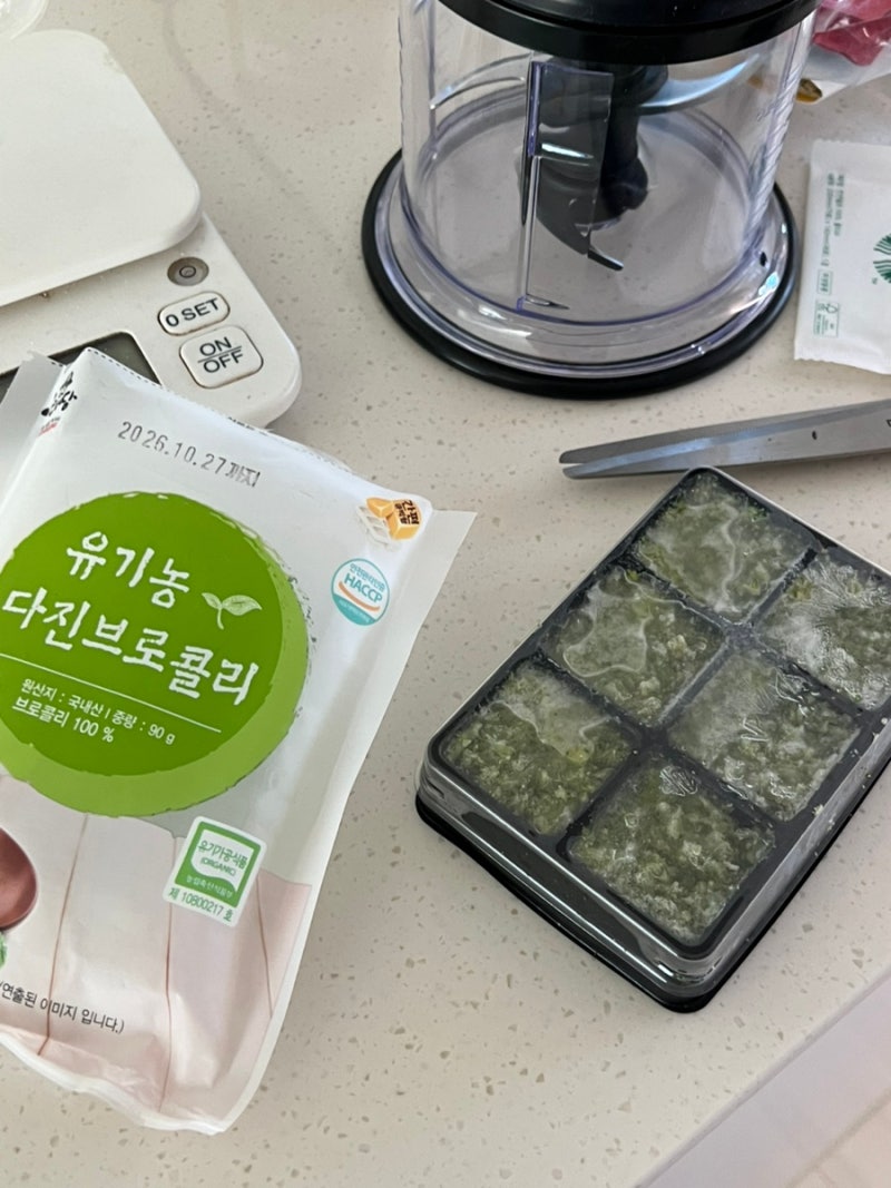 241201-17. 외출많이함 : 네이버 블로그