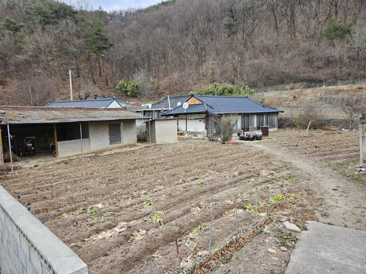  2024년 12월 15일 촌에 엄마 집