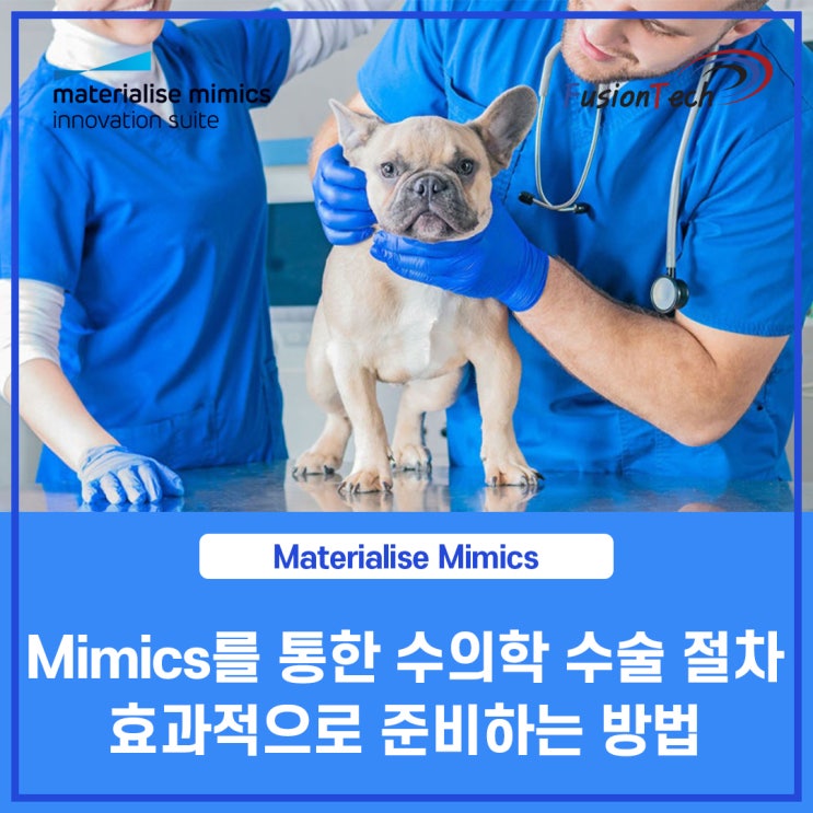  [Materialise S/W] Mimics를 통한 수의학 수술을 효과적으로 준비하는 방법
