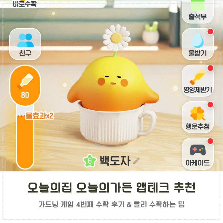 오늘의집 오늘의가든 앱테크 추천 4번째 수확 후기