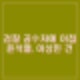공수처장 대검차장 회동 이후 검찰 공수처에 윤석열 이상민 내란죄 사건 이첩.