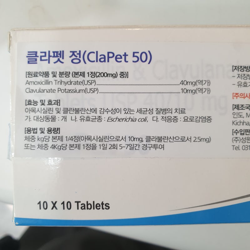 길고양이 약항생제