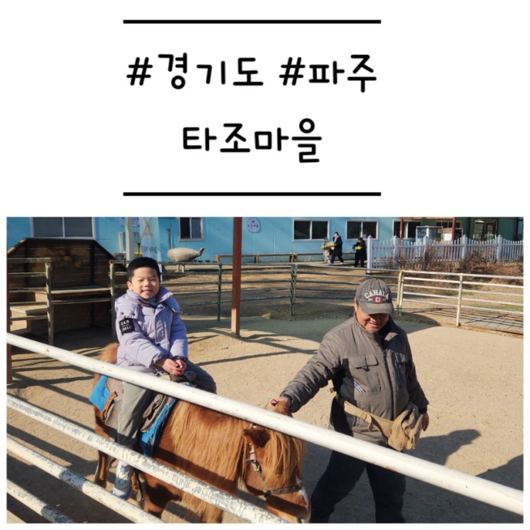  [경기도/파주] '타조마을' 승마체험이 가능한 동물 농장 (할인정보)