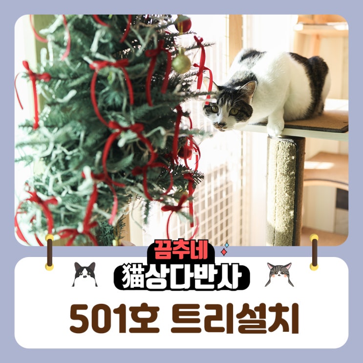  고양이집 크리스마스 트리 꾸미기
