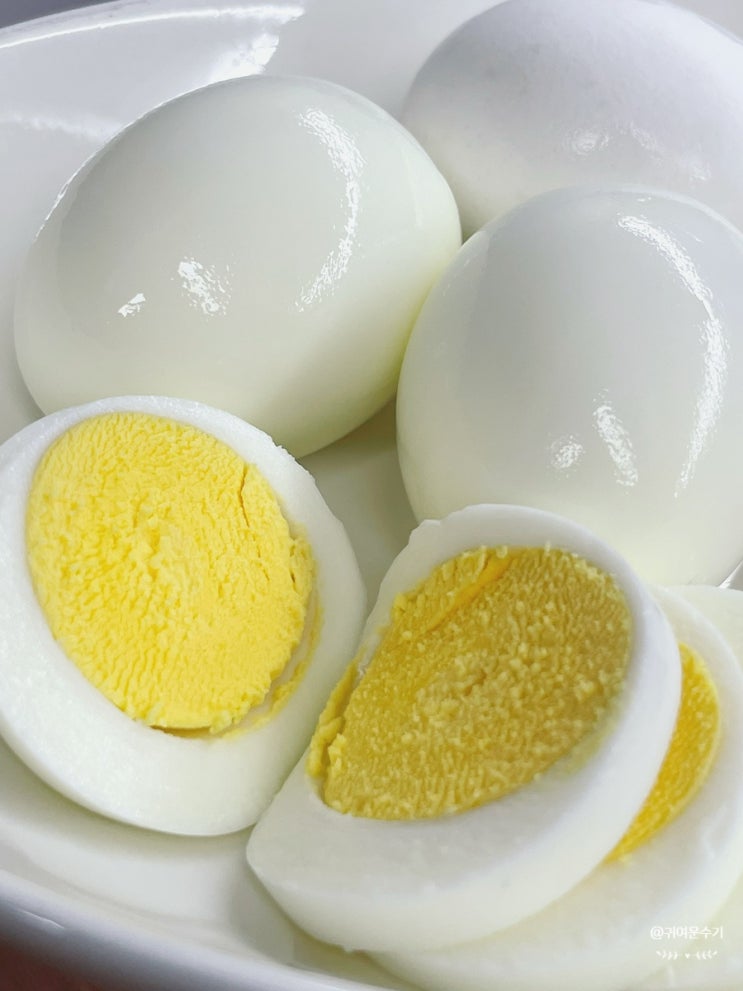  냉장고계란삶기 끓는물에 계란삶는법 달걀 완숙삶는시간