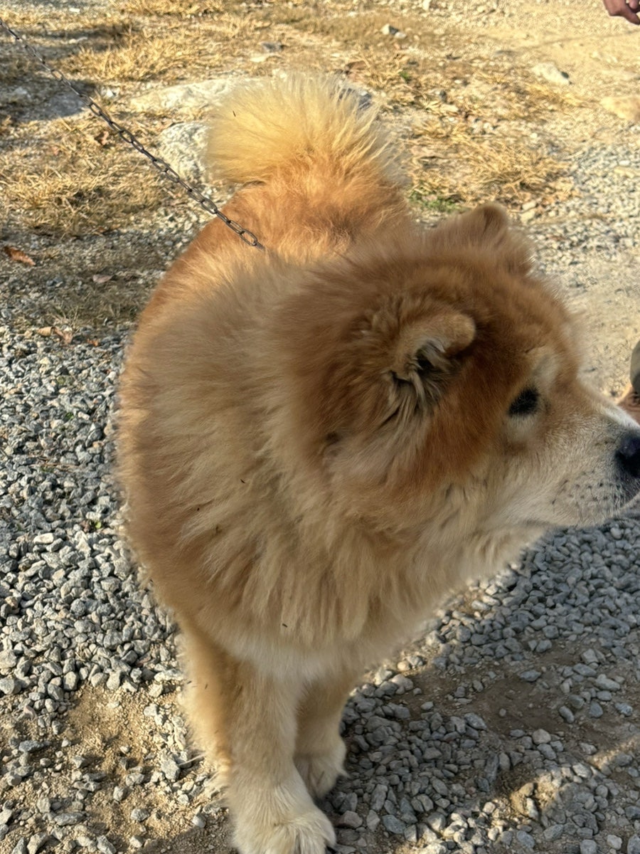 초록별펜션 사진 3