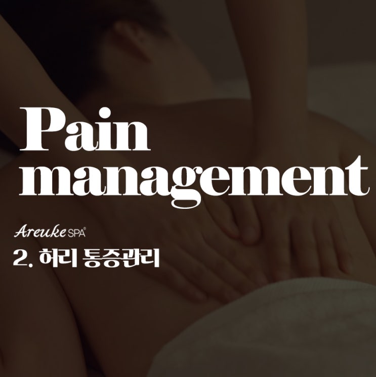  허리 통증 완화를 위한 셀프 마사지와 스트레칭 루틴 : 홍대피부관리 아르케스파에서 알려드립니다.