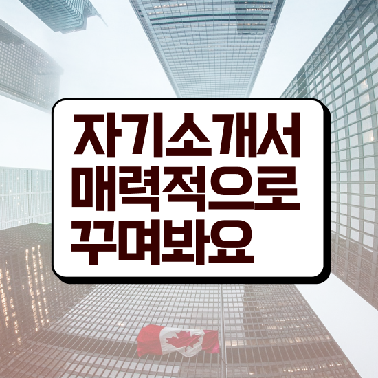  자기소개서지도사1급자격증 , 자기소개서지도사 자격증 취득했던 후기 핵심 정보 정리