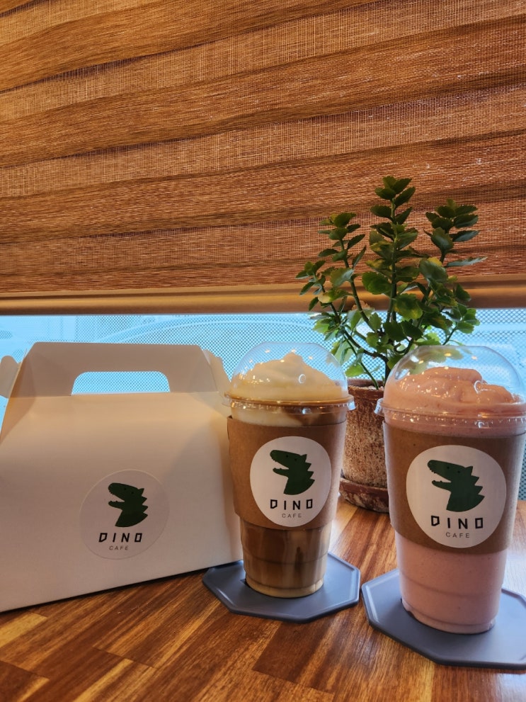  삼척 카페 디노 카페 포근한 느낌이 좋은 도계 카페