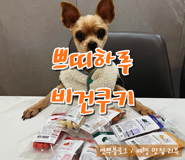  강아지 간식 추천 왈랄라 오리지널 비건 쿠키 저알러지 간식
