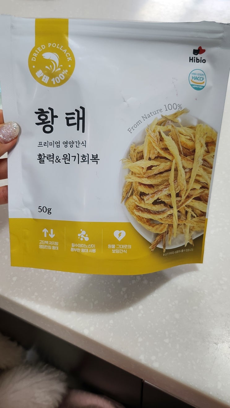  강아지 보양식 황태채 로 죽 만들기