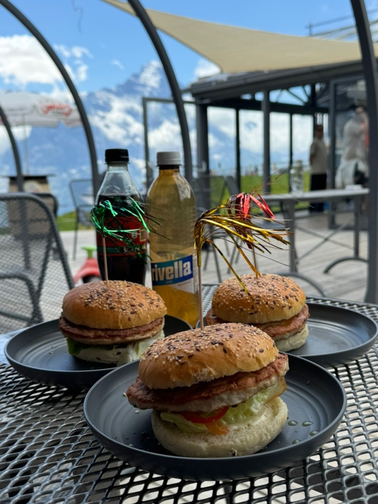  알프스 정상에서 맛있는 햄버거를, 피르스트 버거 맛집 berggasthaus first