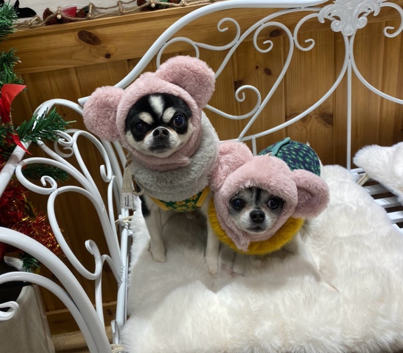사진 2