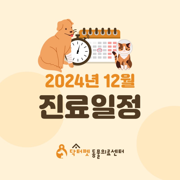  닥터펫동물의료센터, 12월 진료 일정 및 스케줄 표 안내