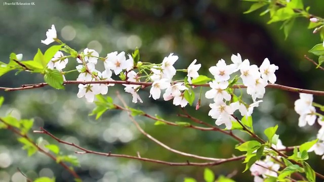  경매 수업 , 부동산권리분석사자격증 독학으로 취득방법 확인하세요