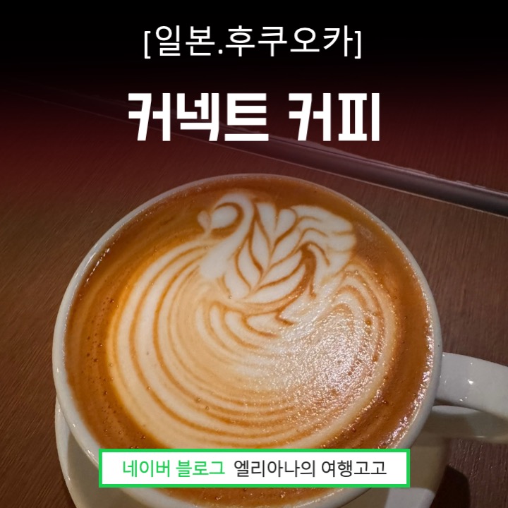  후쿠오카여행 텐진 커넥트 커피 추천 2024년 월드영바리스타챔피언쉽 2위 바리스타가 있는 카페 위치 메뉴추천