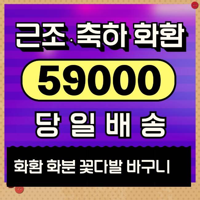 경조사조화 비용 싼곳 보내기 예약 사이트 찾아보세요~