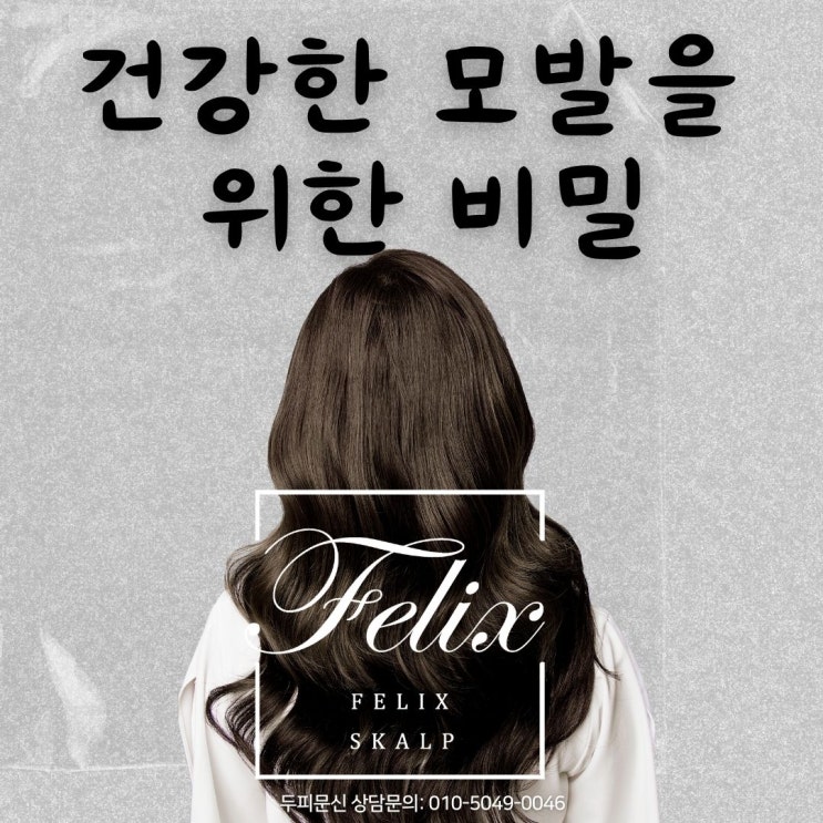  자연요법으로 건강한 모발로 되돌리는 비법_ 구래동문신 필릭스스칼프와 함께 알아봐요