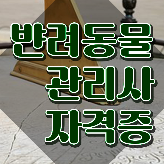  반려동물 생활관리사 , 반려동물관리사 자격증 준비한 과정 궁금하다면