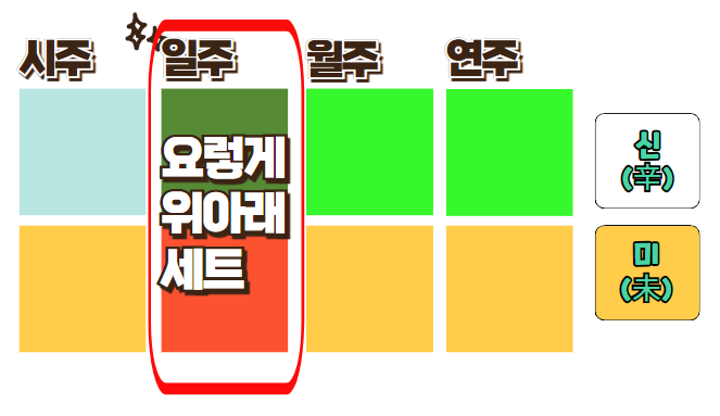 신미일주, 신금일간. 2025년 을사년은?
