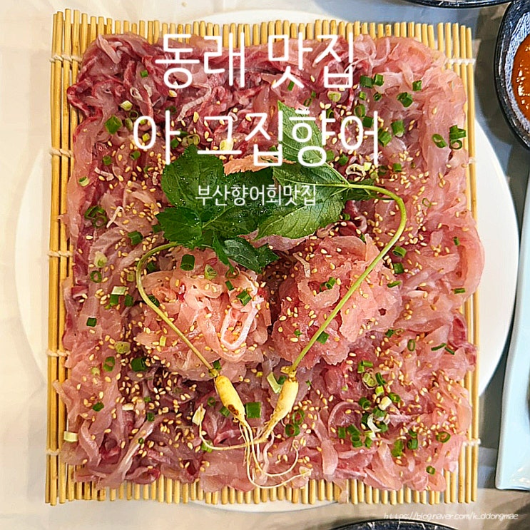  부산 향어회 맛집 '아 그집향어' 동래 안락동 횟집 솔직후기