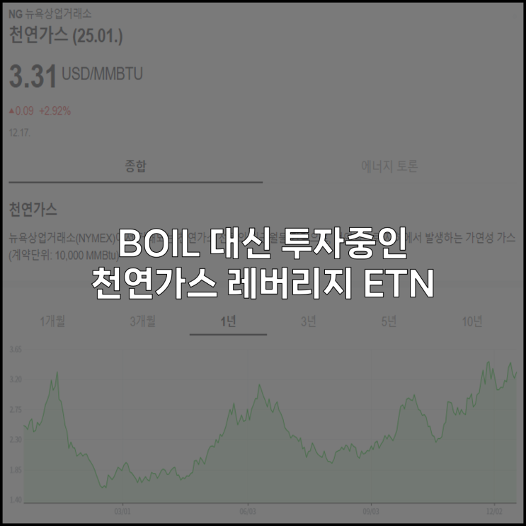 BOIL 대신 투자중인 천연가스 레버리지 ETN