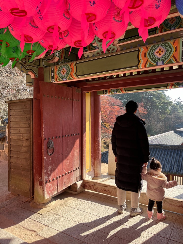  두 돌 아기와 2박 3일 경주 겨울 여행(3) 경주 보문 단지 맛집 우마왕, 해바라기 명소 애견 동반 카페 바실라, 불국사, 석굴암