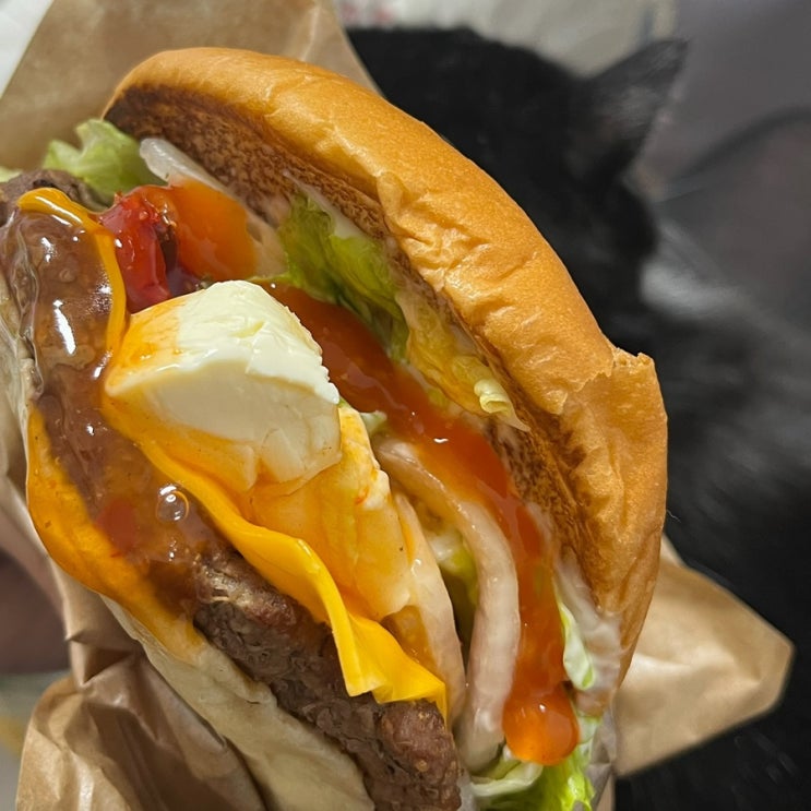  버거킹 신메뉴 화이트페타 치즈 이런 입맛이라면 도전해보길! 내돈내산