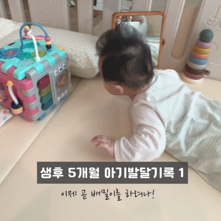  150일, 5개월차 아가의 일상기록