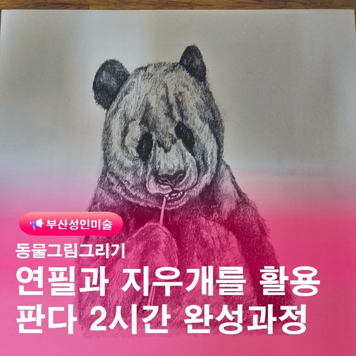  금정구성인미술그림학원 부산드로잉소묘 판다 2시간완성과정
