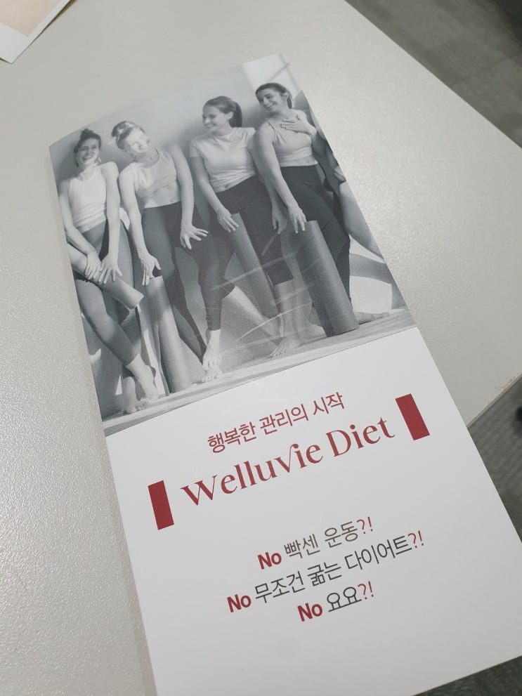  [ 3단 리플렛 제작 후기 ] 리플렛 또한 피디피코리아에 맡기니 역시 기쁘지 아니한가