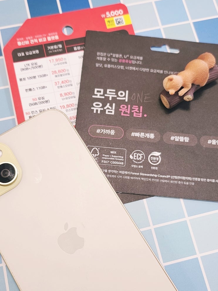  선불폰 전문가가 소개하는 L망 요금제