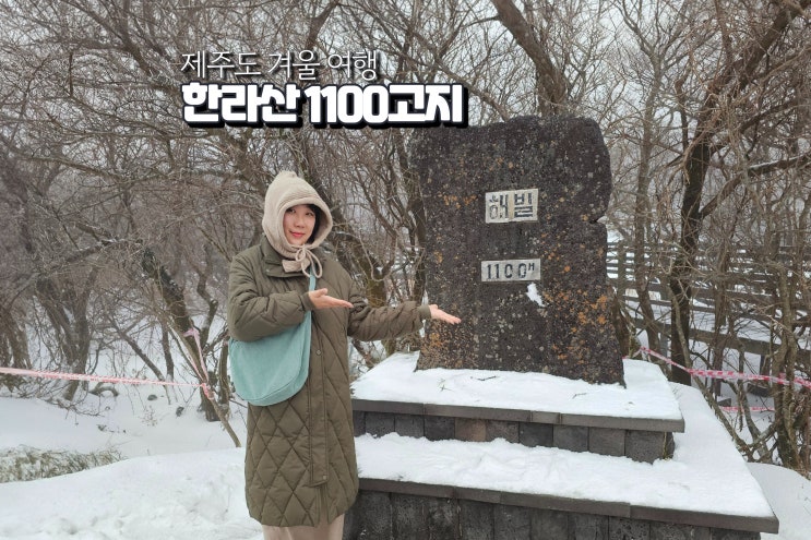  겨울 제주도 1100고지 눈 실시간 CCTV 한라산 여행지
