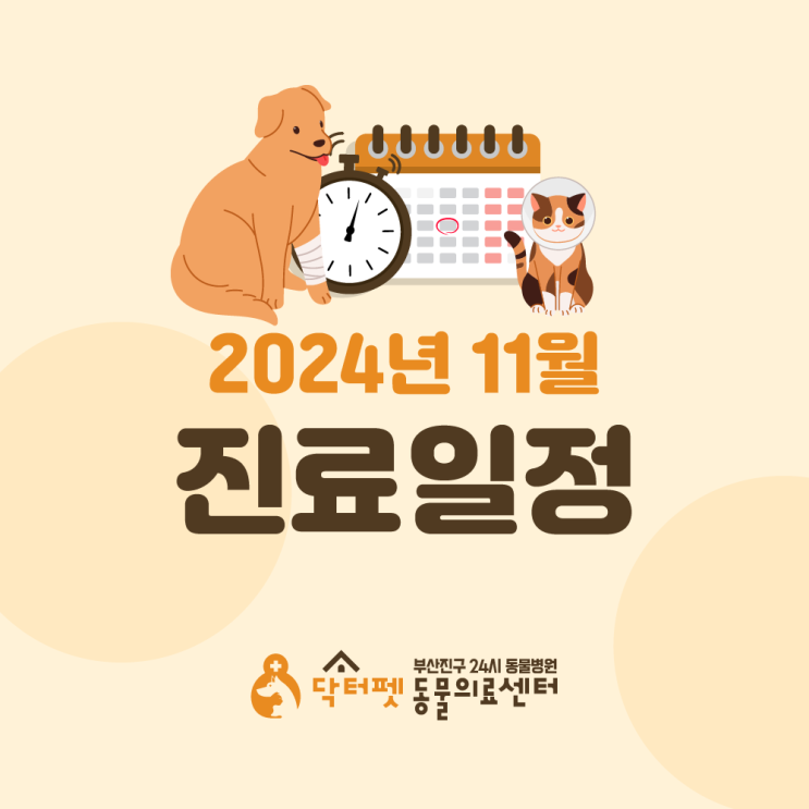  닥터펫동물의료센터 2024년 11월 진료 일정 및 스케줄 표 안내