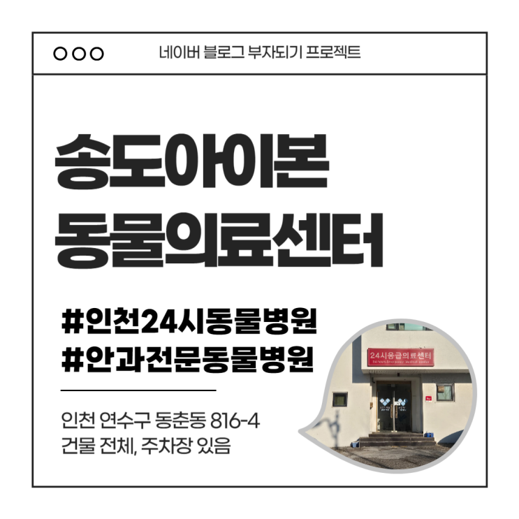  인천 강아지 건강검진 송도 아이본 동물의료센터 feat. 인천24시동물병원