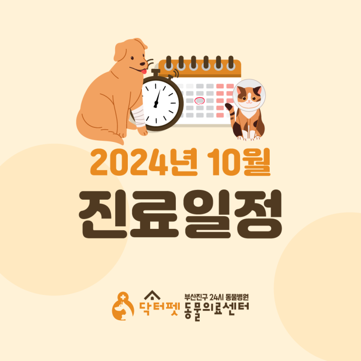  닥터펫동물의료센터 2024년 10월 진료 일정 및 스케줄 표 안내