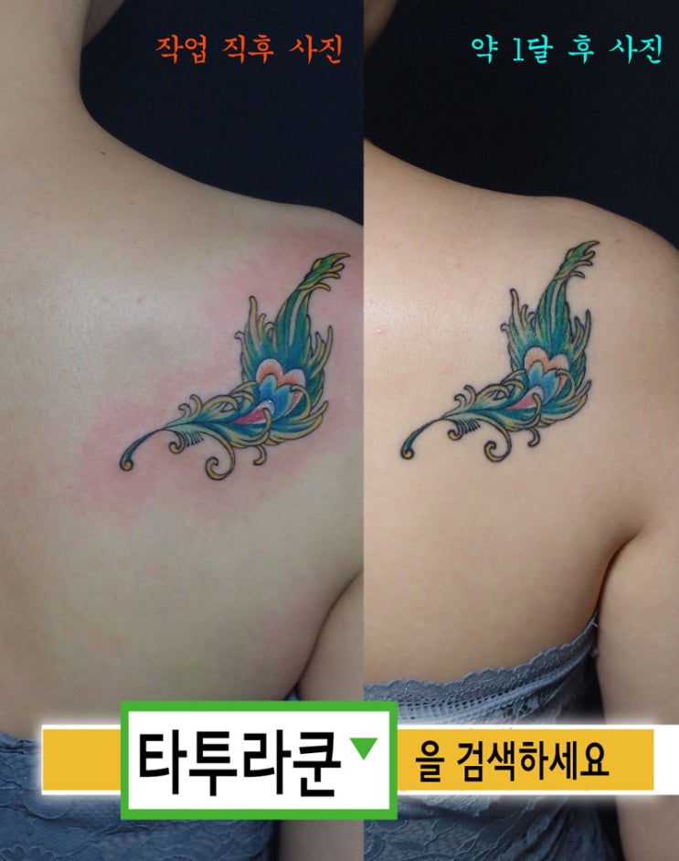  깃털 컬러타투/ 날개뼈 위치에 미니타투/타투 발색비교 사진[홍대타투라쿤] -2018. 1. 22. 22:25